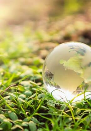 compromiso medio ambiental kauma