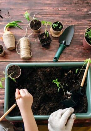empezar huerto en casa